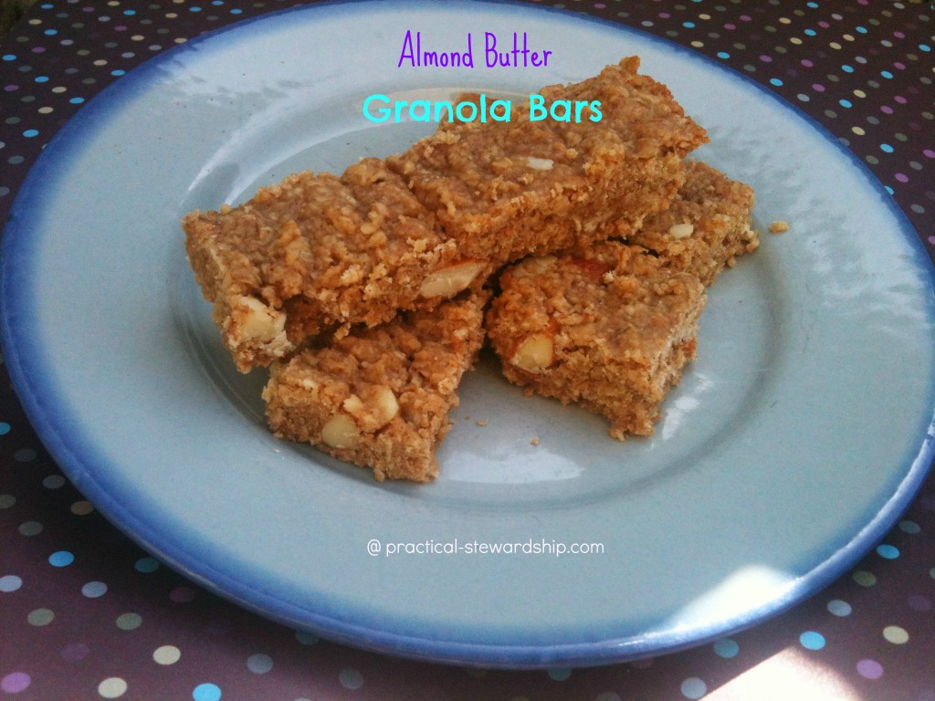 Almond Butter Granola Bar