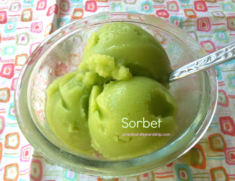 Sorbet @ practical-stewardship.com