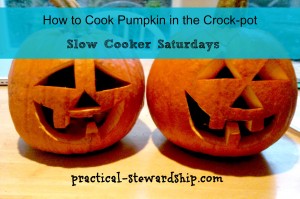 How to Cooker Pumpkin in your slow cooker @ practical-stewardship.com