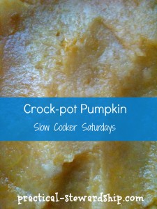 Crock-pot Pumpkin