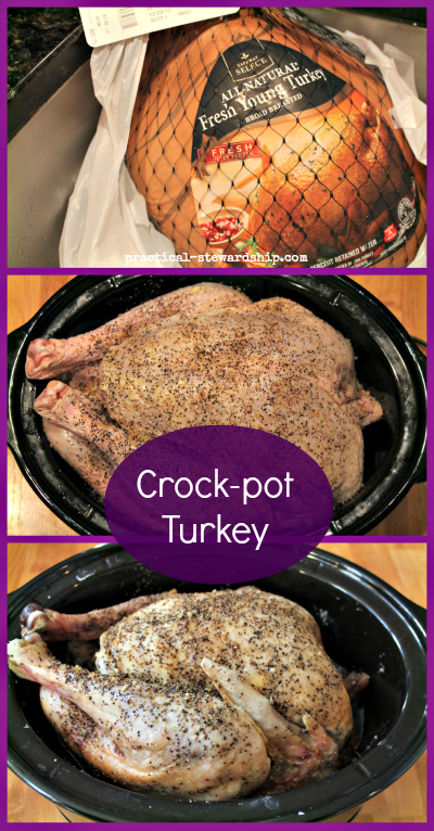 How to Cook a Turkey in a Crockpot - Mimosas & Motherhood