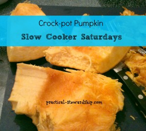 How to Cook Pumpkin in the Crock-pot @ practical-stewardship.com