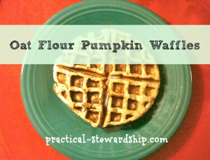 Oat Flour Pumpkin Waffles @ practical-stewardship.com