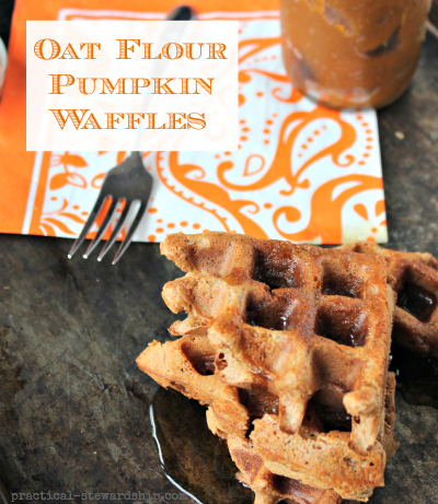 Easy Oat Flour Pumpkin Waffles Practical Stewardship