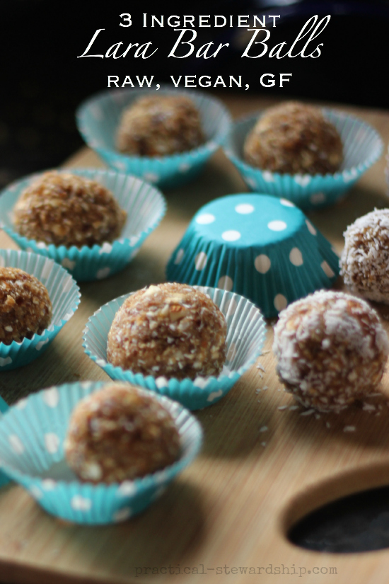 3 Ingredient Lara Bar Balls raw, vegan, GF