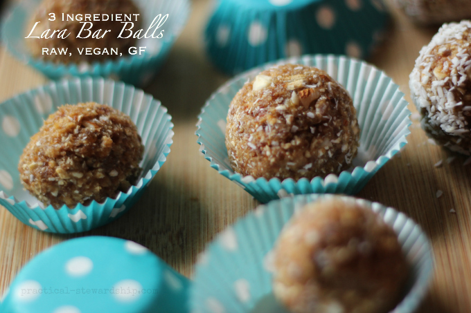 3 Ingredient Lara Bar Balls raw, vegan, GF