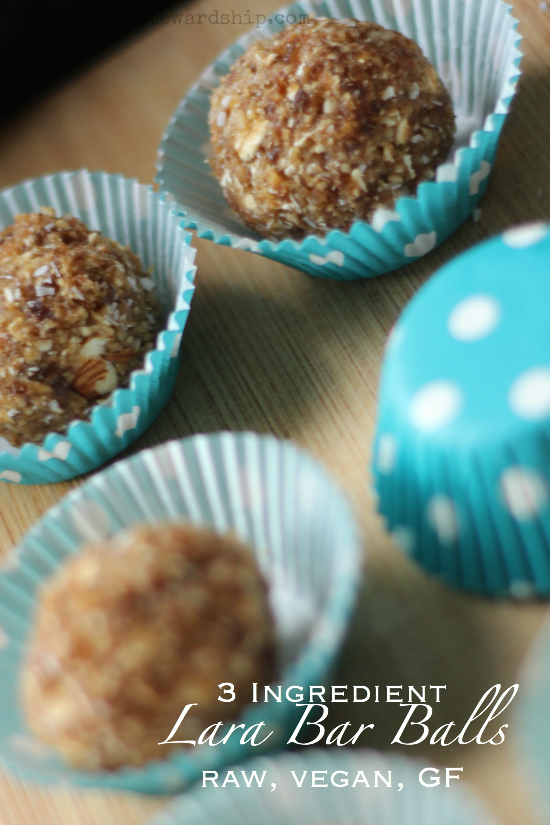 3 Ingredient Lara Bar Balls raw, vegan, GF