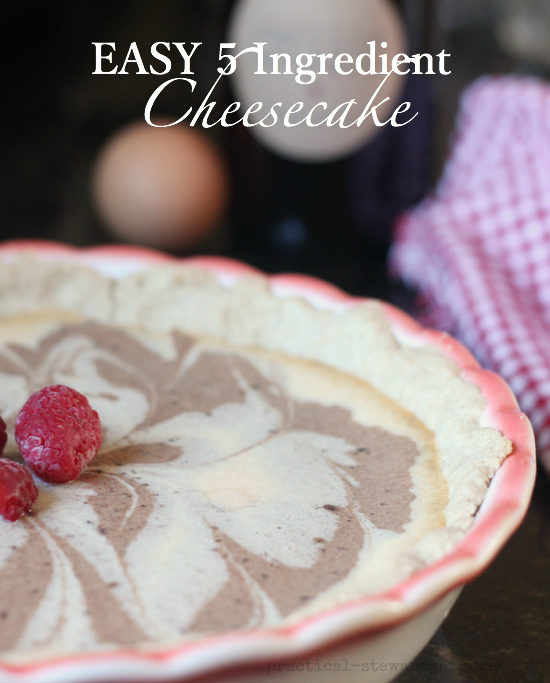 Easy 5 Ingredient Cheesecake