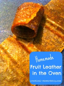 Homemade Fruit Leather in the Oven
