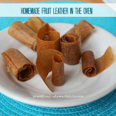 Homemade Fruit Leather