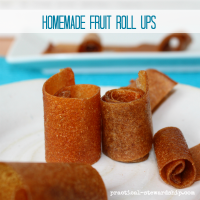Homemade Fruit Leather in the Oven