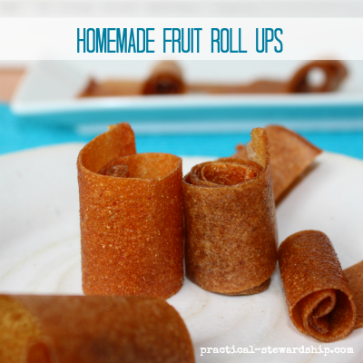 https://practical-stewardship.com/wp-content/uploads/2011/12/Homemade-Fruit-Roll-Ups.png