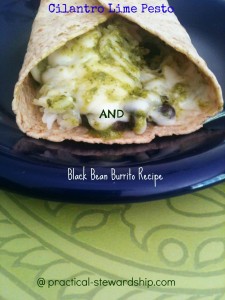 Cilantro Lime Pesto and Black Bean Burrito