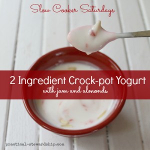 2 Ingredient Crock-pot Yogurt