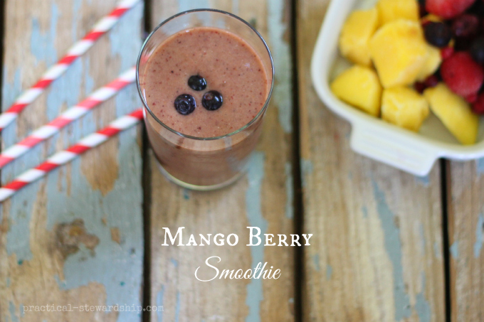 Mango Berry Smoothie