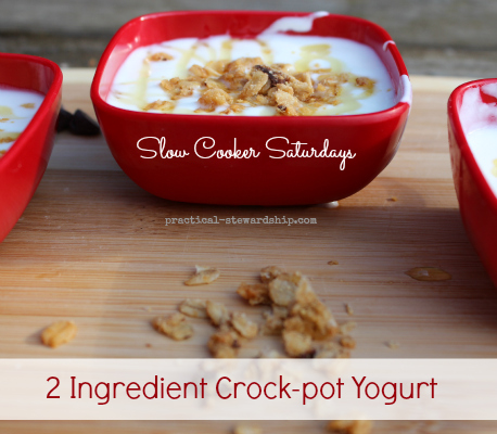 Crock-pot Yogurt with Granola