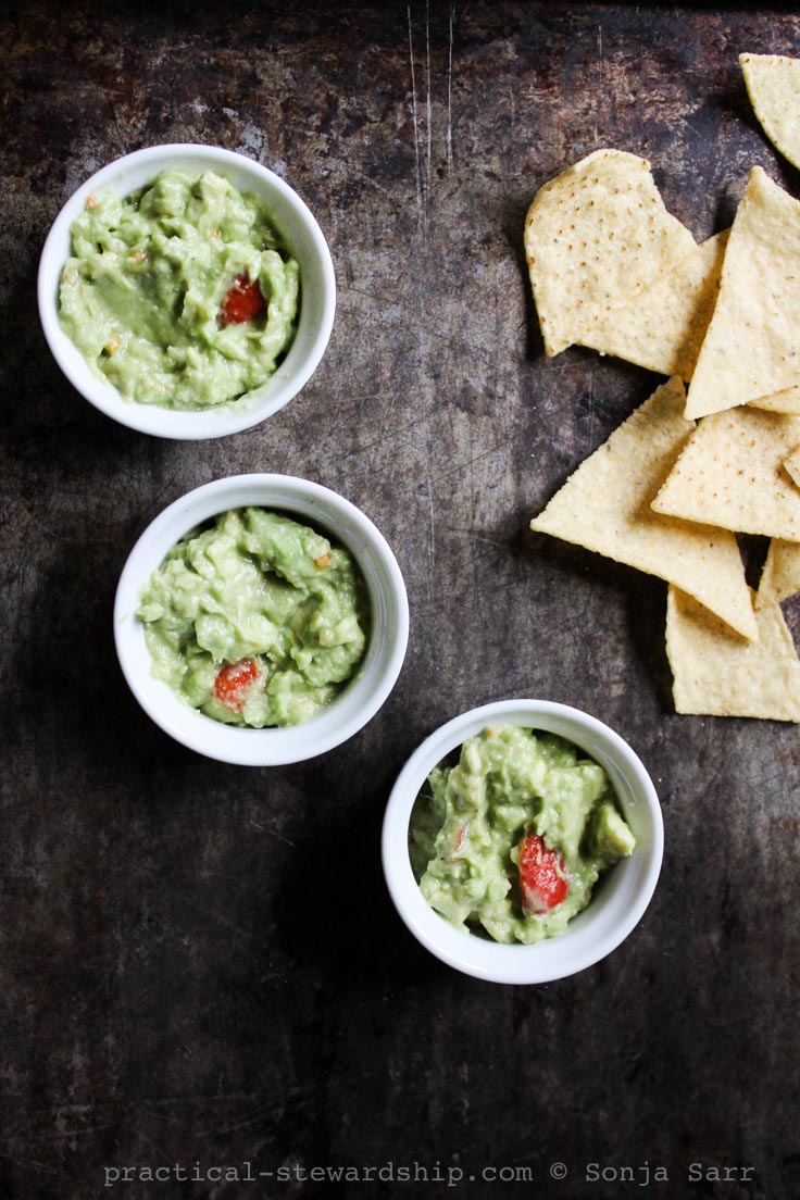 easy guacamole recipe