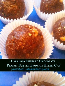 Lara Bar-Inspired Chocolate Peanut Butter Brownie Bites @ practical-stewardship.com
