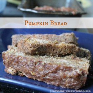 Slow Cooker Pumpkin Bread