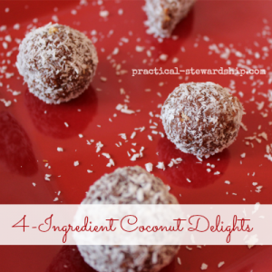 4 Ingredient Coconut Delight Balls