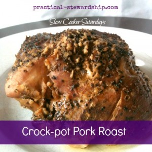 Crock-pot Pork Roast