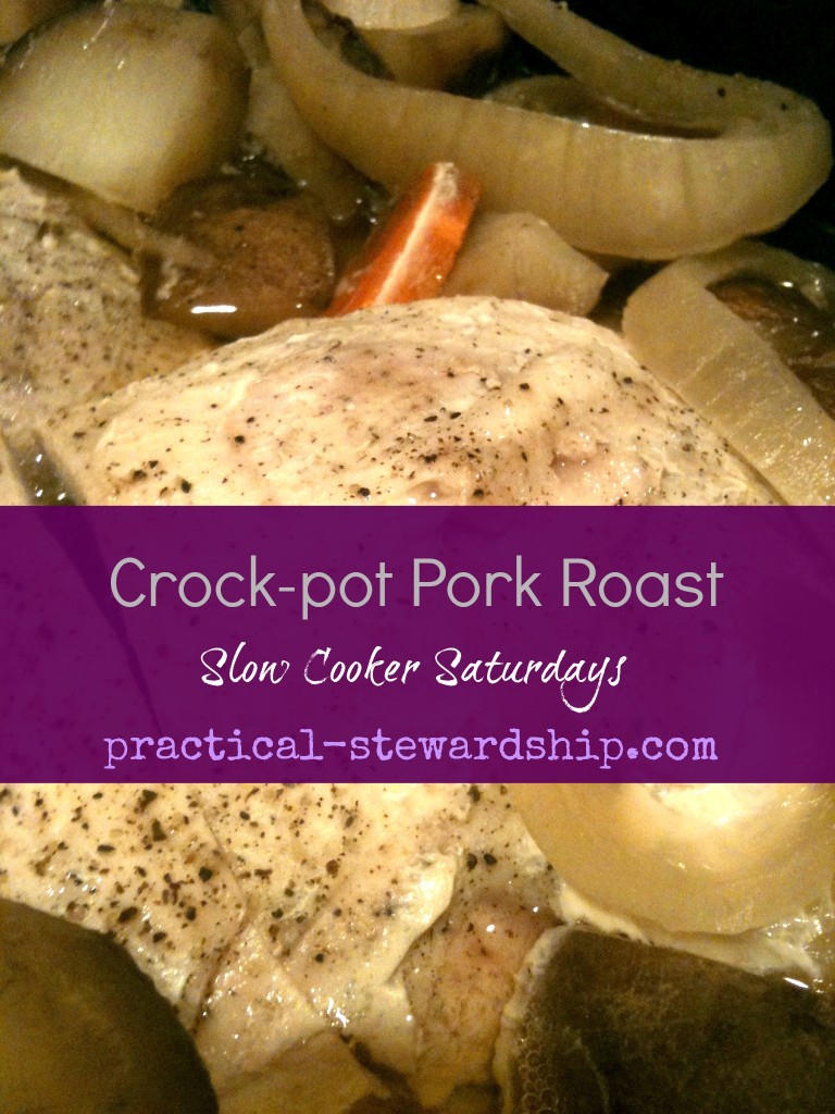 Crock-pot Pork Roast @ practical-stewardship.com