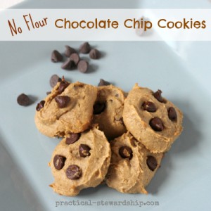 Grain-Free Chocolate Chip Cookies