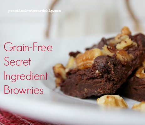 Grain-Free Secret Ingredient Brownies