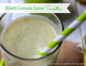 Ellie's Lemon Lime Smoothie