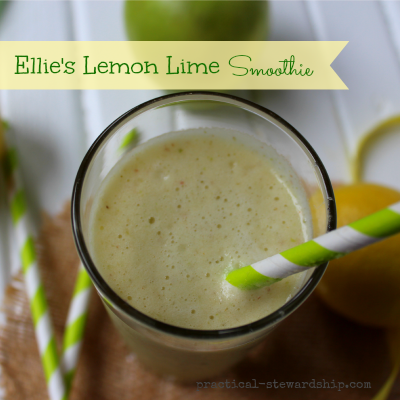 Lemon and Lime Smoothie