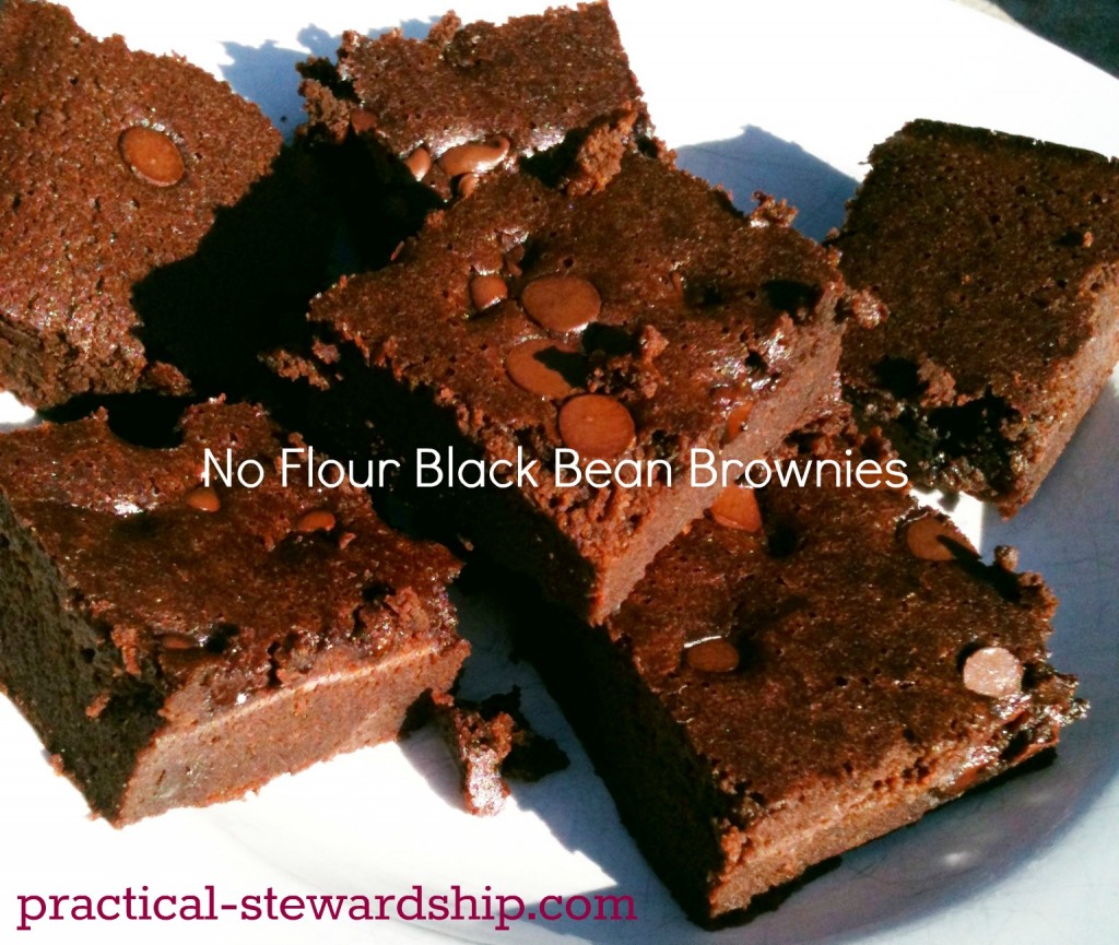 No Flour Black Bean Brownies