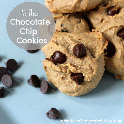 No Flour Chocolate Chip Blender Cookies Gluten-Free, Grain-Free