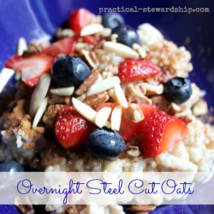 Overnight crock-pot Steel Cut Oats