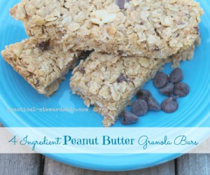 Peanut Butter Granola Bar 4 ingredient