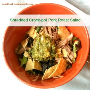 Shredded Crock-pot Pork Roast Salad