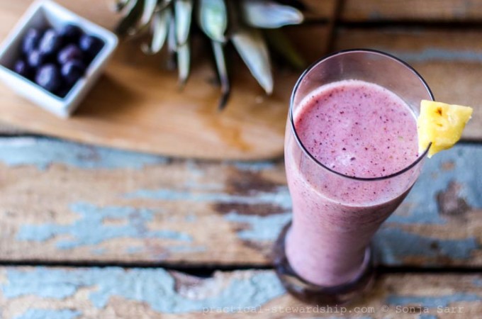 Pineapple Blueberry Smoothie-2