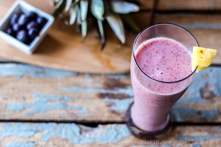 Pineapple Blueberry Smoothie-2