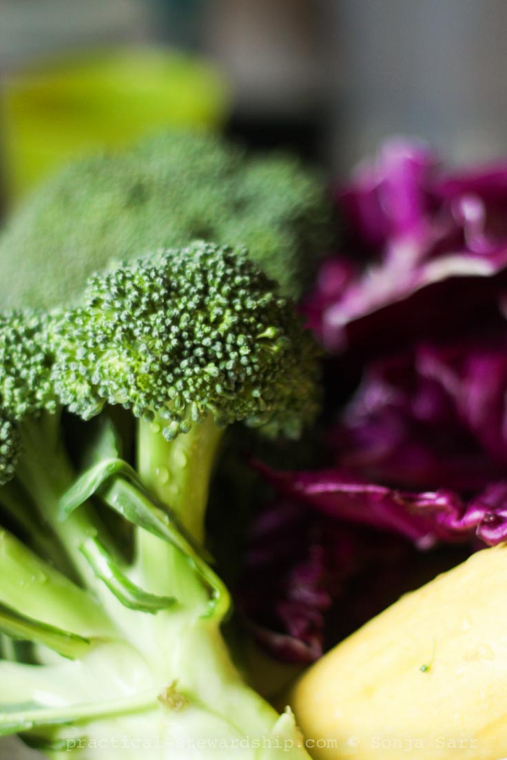 Roasted Broccoli Trio Parmesan-1