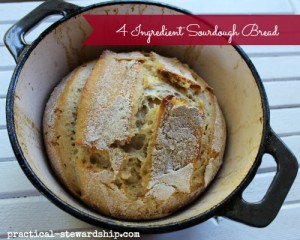 4 Ingredient Sourdough Bread