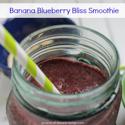 Banana Blueberry Bliss Smoothie