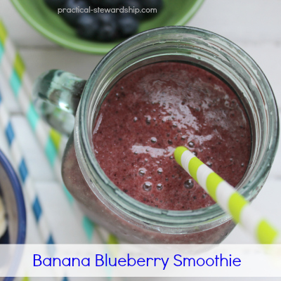 Banana Blueberry Bliss Smoothie