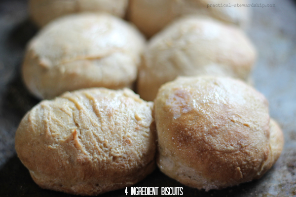 Biscuits with 4 Ingredients