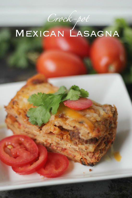 Crock-Pot or Not Mexican Lasagna - Practical Stewardship