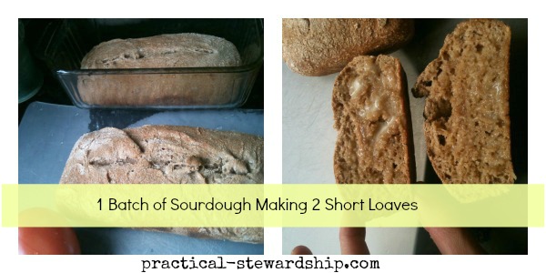 Double Sourdough Bread @ practical-stewardship.com