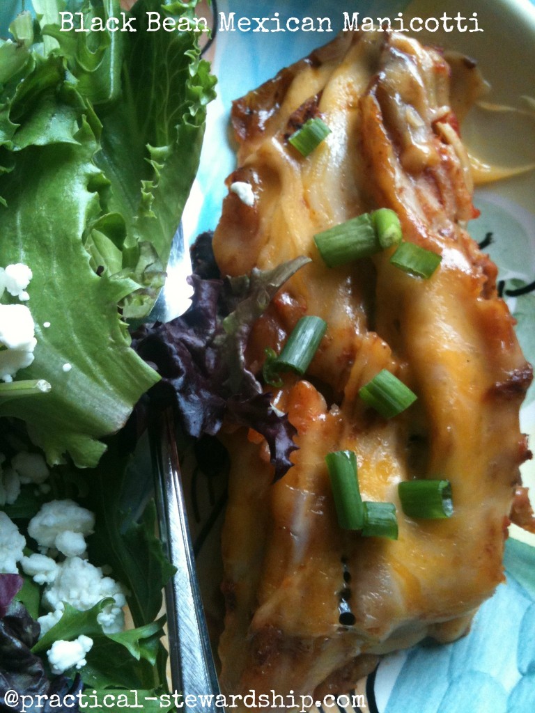 Black Bean Mexican Manicotti