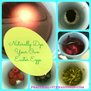 Naturally Dye Your Own Easter Egg Collage