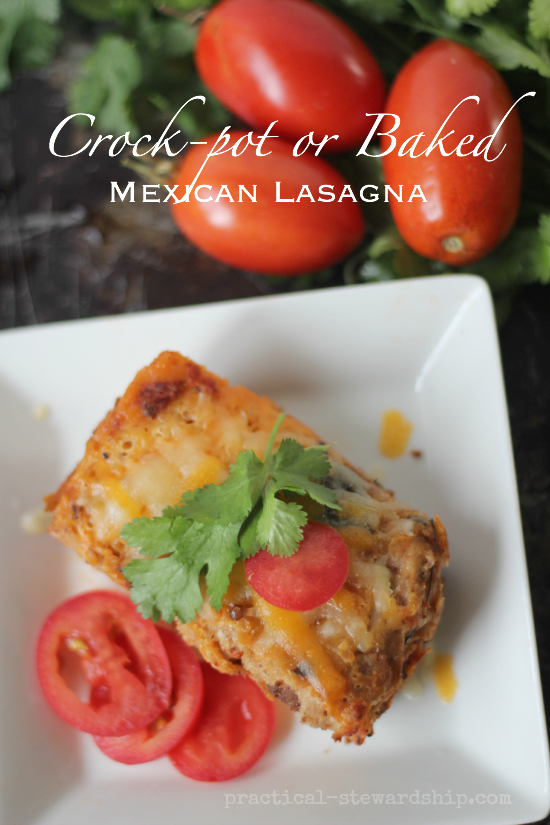 Slow Cooked or Baked Mexican Lasagna