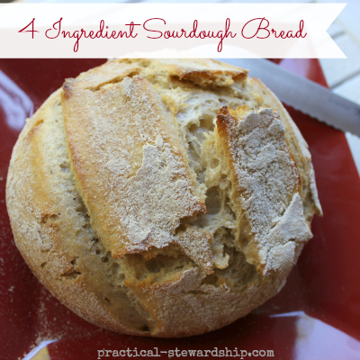 Easy Sourdough Bread Recipe for Beginners