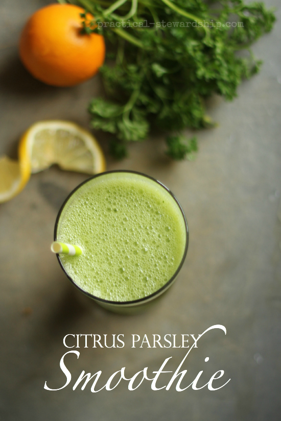 Citrus Parsley Smoothie - Practical Stewardship