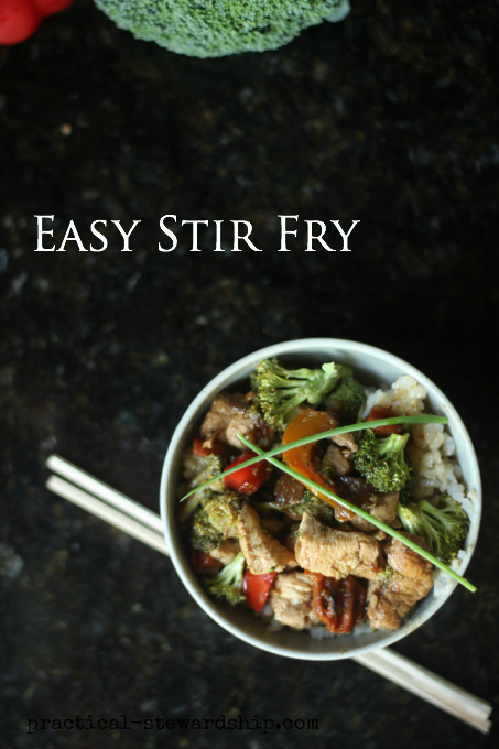 Easy Stir Fry